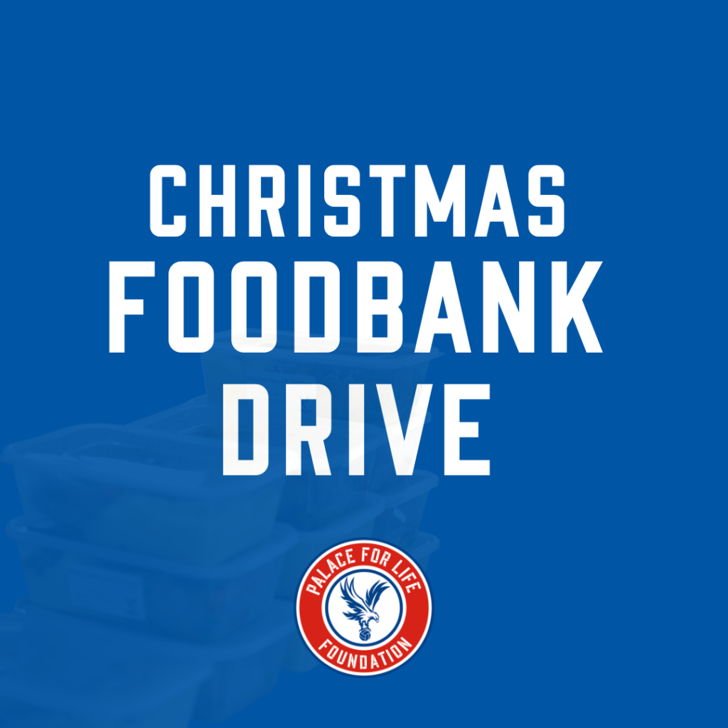 Christmas appeal 2023 donation page palace for life foundation